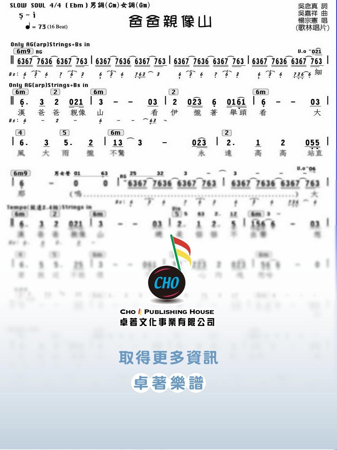 爸爸親像山